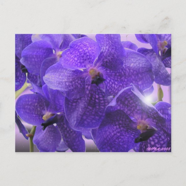 TRANSPARENCY POSTCARD (Front)