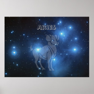 Transparent Aries Poster