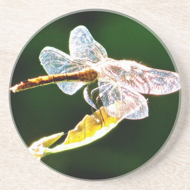 Transparent dragonfly coaster (Front)