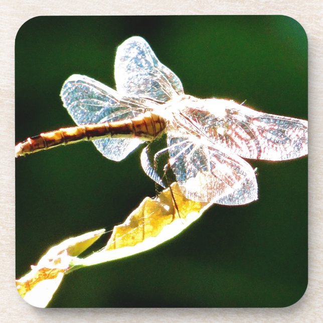 Transparent dragonfly coaster (Front)