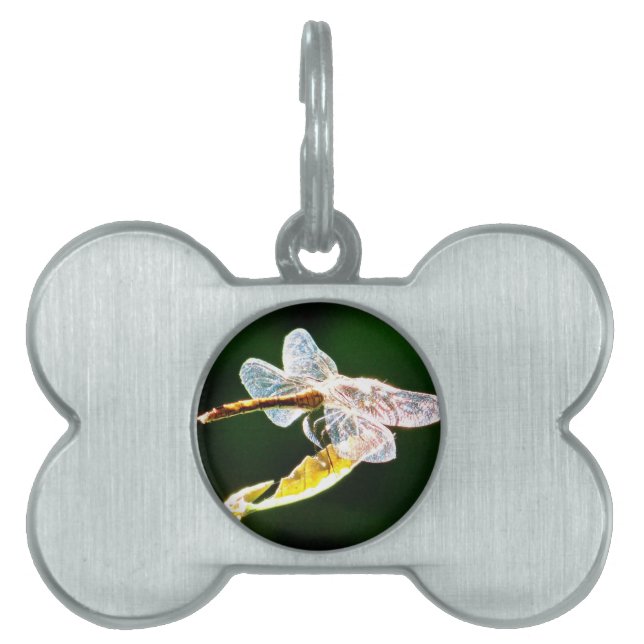 Transparent dragonfly pet name tag (Front)