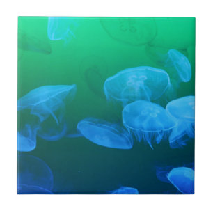 Transparent Jellyfish Tile