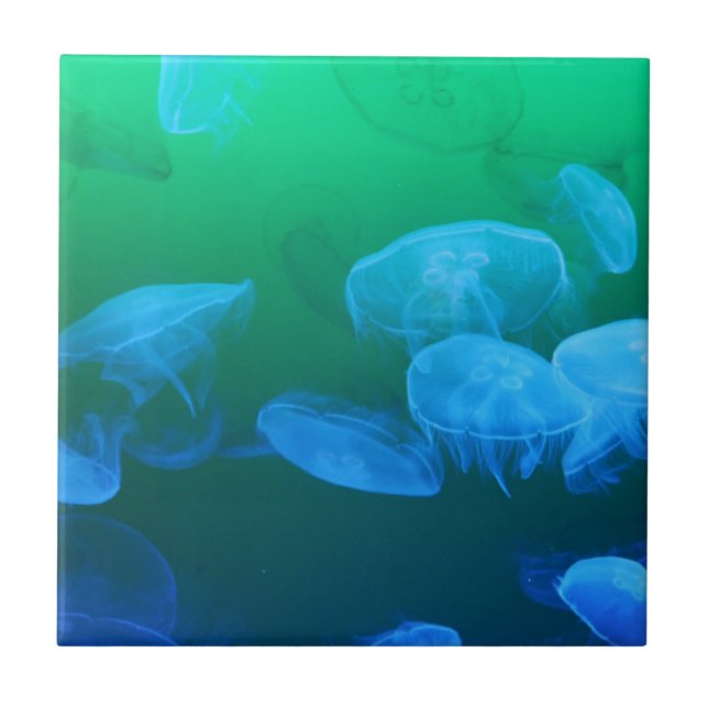 Transparent Jellyfish Tile (Front)