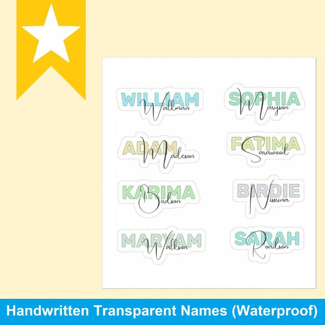 Transparent Last Names, Modern Waterproof Stickers (Waterproof FULL NAME STICKER - Customized Stickers, Water bottle sticker, Laptop Decal)
