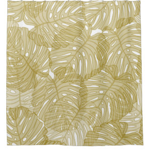 Transparent Monstera Leaves White Background