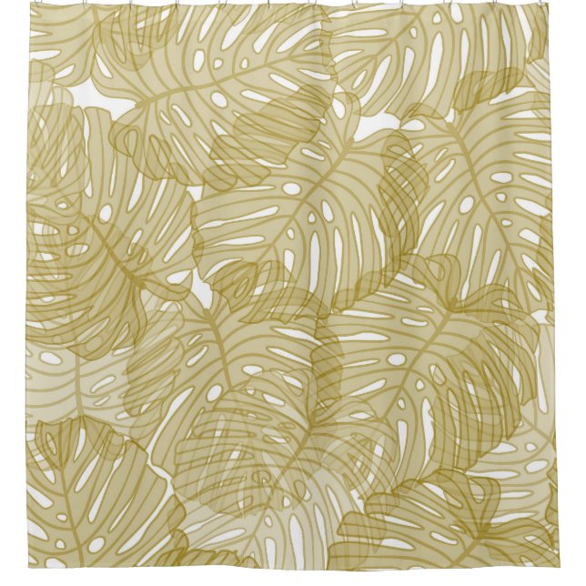 Transparent Monstera Leaves White Background (Front)