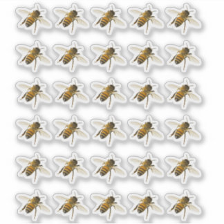 Transparent or White Realistic Honeybee in Flight 