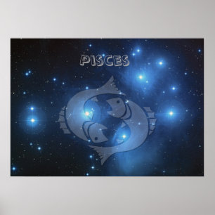 Transparent Pisces Poster