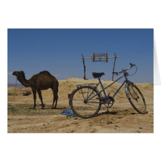 Transport durable