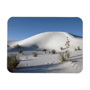 Transverse Dunes and Soaptree Yucca Magnet