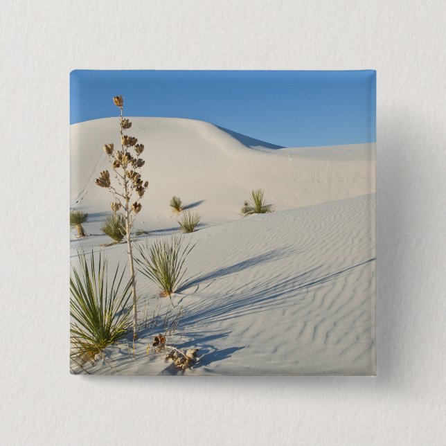 Transverse Dunes, Yucca, shadows 2 Inch Square Button (Front)