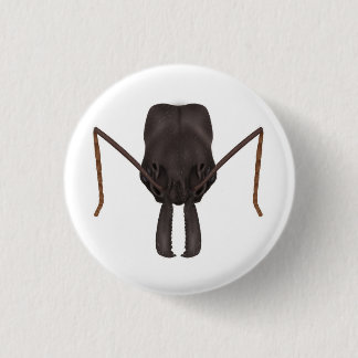 Trap jaw ant button