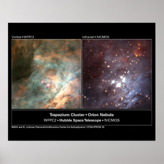Trapezium Cluster Hubble Telescope Photo Poster