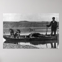 Trapper in Canoe with Hides and Dogs Alaska