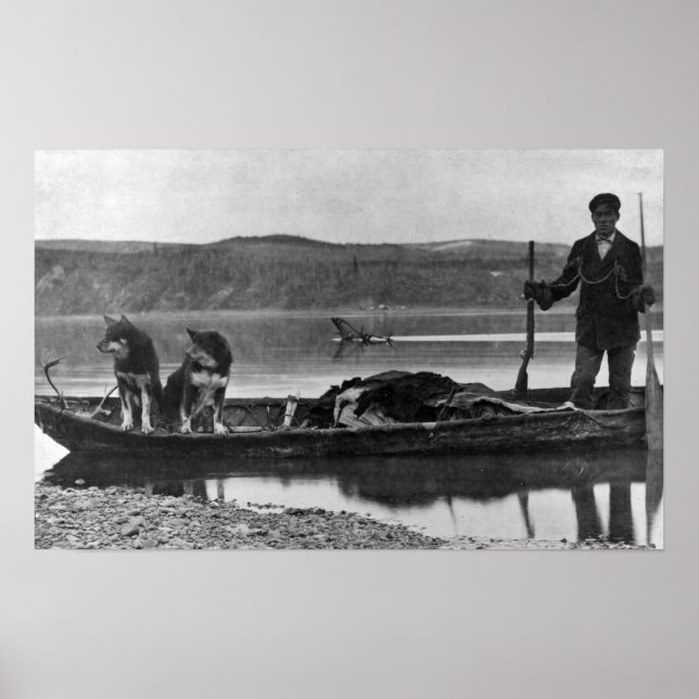 Trapper in Canoe with Hides and Dogs Alaska Poster (Front)