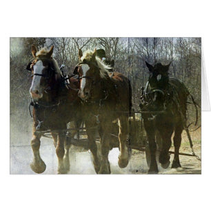 Travaux Amish Drafts