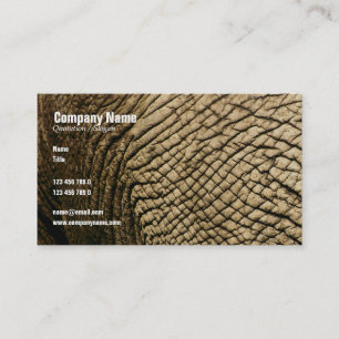 Travel agents, Safari tours, taxidermists, vets Business Card