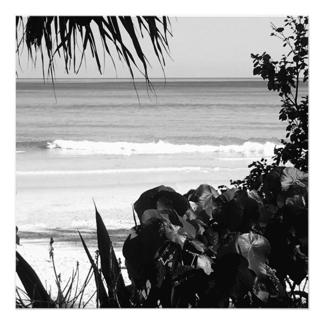Travel Beach Scene Summer Black White Tropical Photo Print (Front)