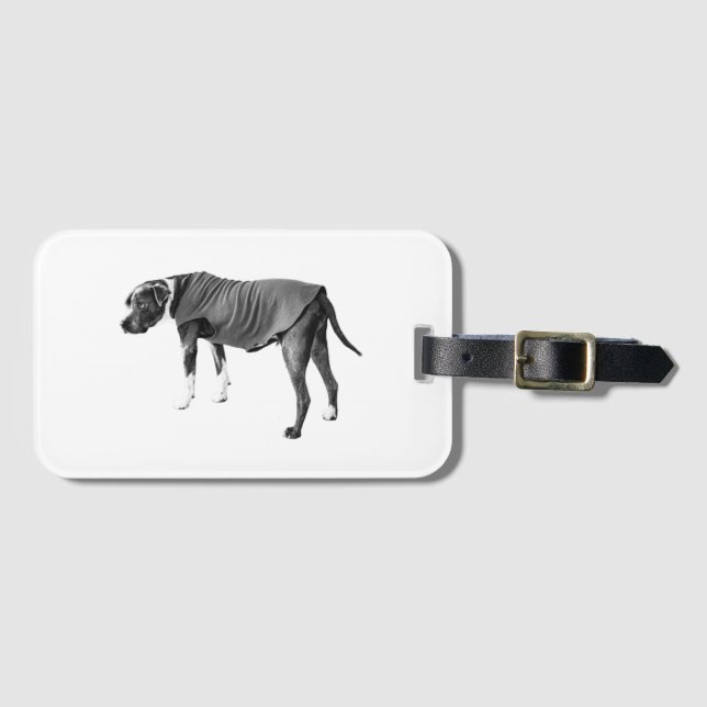 Travel Coat, Quiet Guide Luggage Tag (Front Horizontal)
