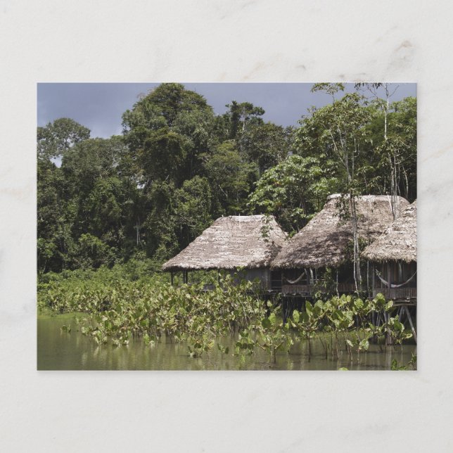 Travel collecting postcard 11 (Front)