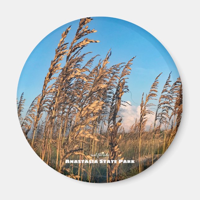 Travel | Florida - Anastasia St Park Sea Oats Magnet (Front)