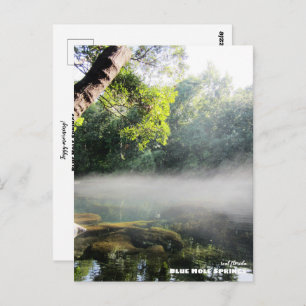 Travel Florida - Blue Hole Springs Foggy Morning Postcard