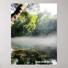 Travel | Florida - Blue Hole Springs Foggy Morning Poster