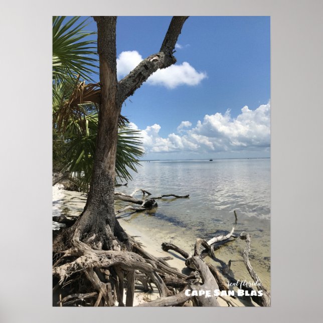 Travel | Florida - Cape San Blas Beach Poster (Front)
