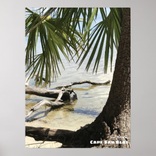 Travel Florida - Cape San Blas Driftwood Poster