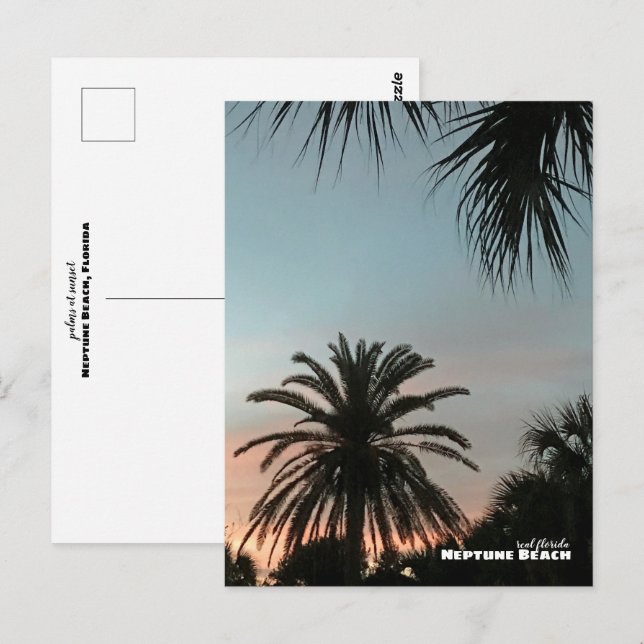 Travel | Florida - Neptune Beach Pink Sunset Palms Postcard (Front/Back)