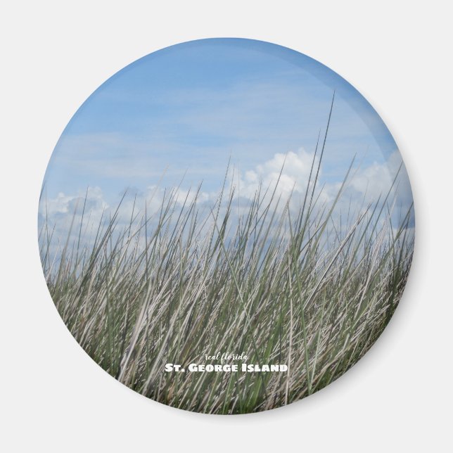 Travel | Florida - St. George Island Sea Grass Magnet (Front)