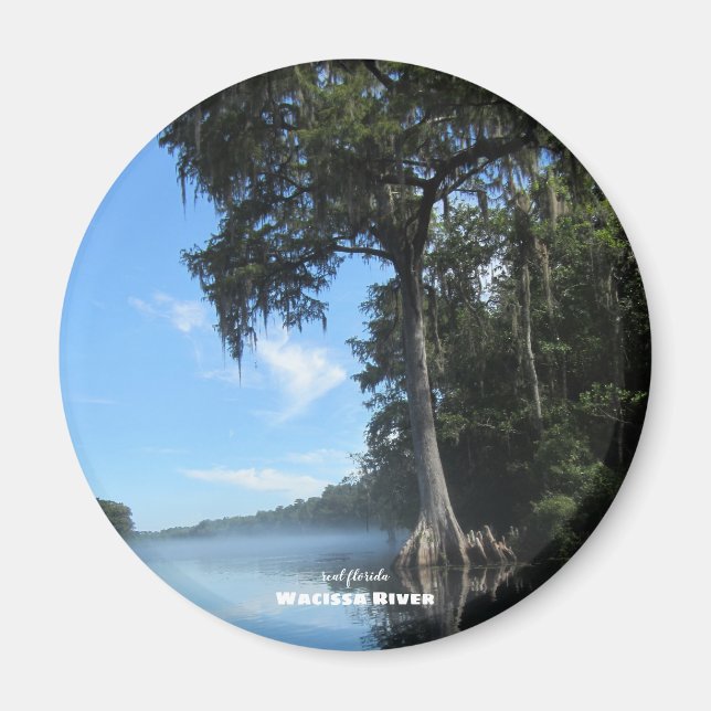 Travel | Florida - Wacissa River Cypress Magnet (Front)