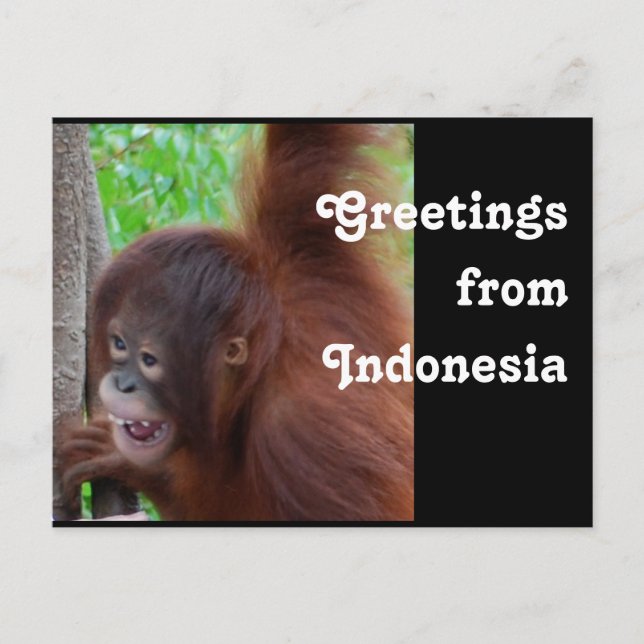 Travel Greetings from Indonesia Postcard (Front)