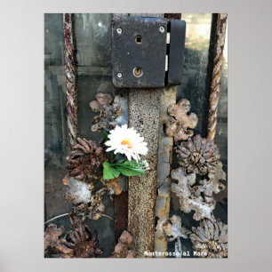 Travel Italy - Monterosso al Mare old lock Poster