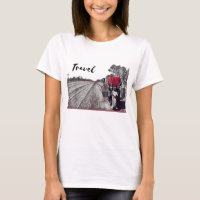 Travel Motorcycle Triumph Adventure Bike Desert Ro