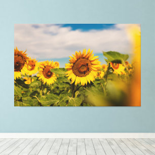 Travel Photography Decor with Sunflower Photo