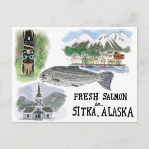 Travel Sketch Postcard: Salmon in Sitka, Alaska Postcard
