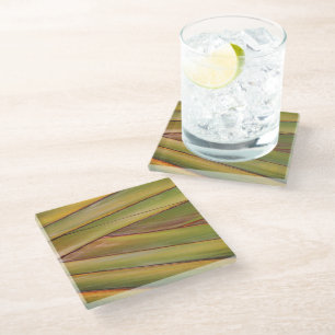 Traveler Palm Coaster