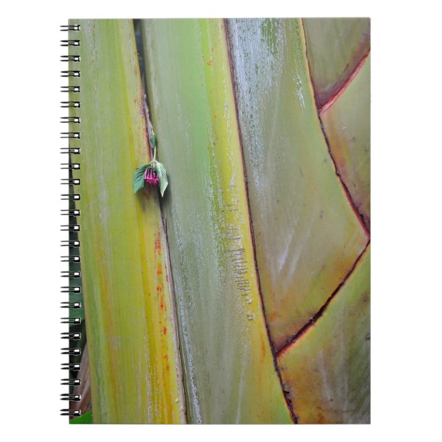 Travelers Palm Tree Notebook (Front)