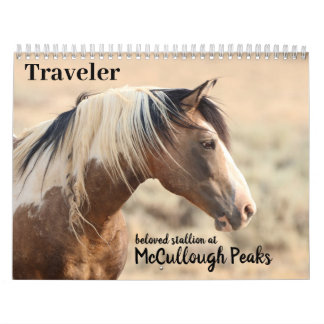 Traveller of McCullough Peaks Wild Horse Calendar