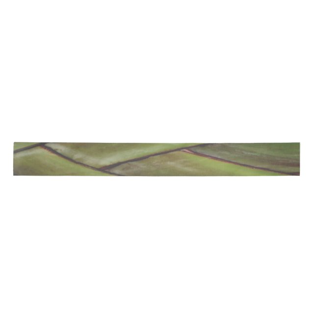 Traveller Palm Ribbon Satin Ribbon (Front)