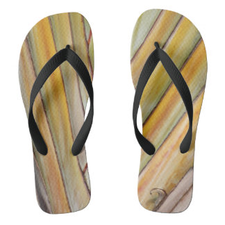 Travellers Tree Flip Flops