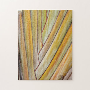 Travellers Tree Photo Puzzle with Gift Box