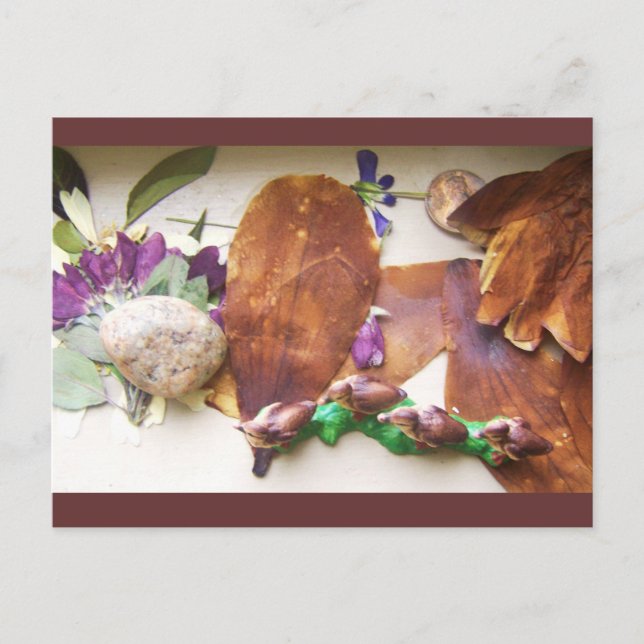 Travelling Ducks Postcard (Front)