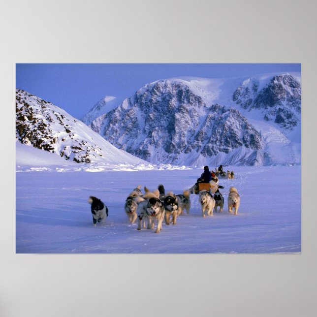 Travelling, Ellesmere Island Poster (Front)