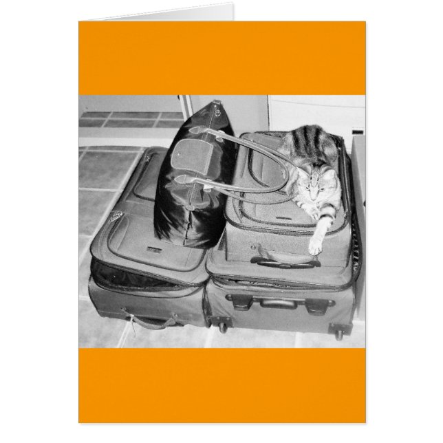 Travelling Indigo Pencil (Front)