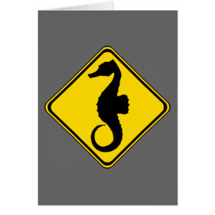 Traversée des hippocampes !
