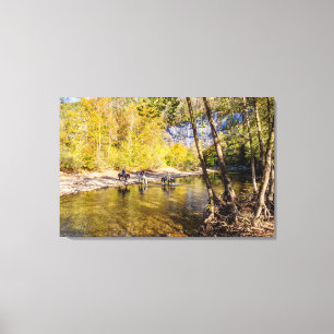 Traverser La Toile De La Rivière Buffalo