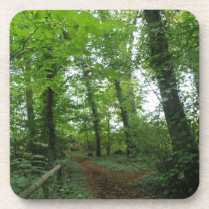 Traverser le Dessous de verre du liège de la forêt