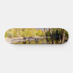 Traverser Le Pont De Skateboard De La Rivière Buff